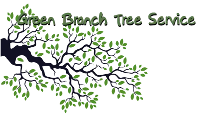 Green Branch Tree Service