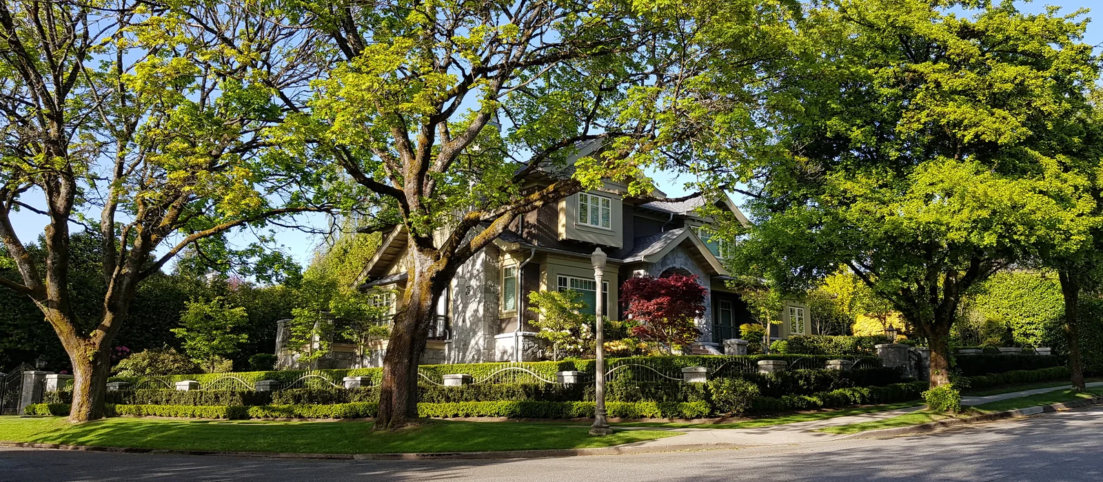 Tree Pruning